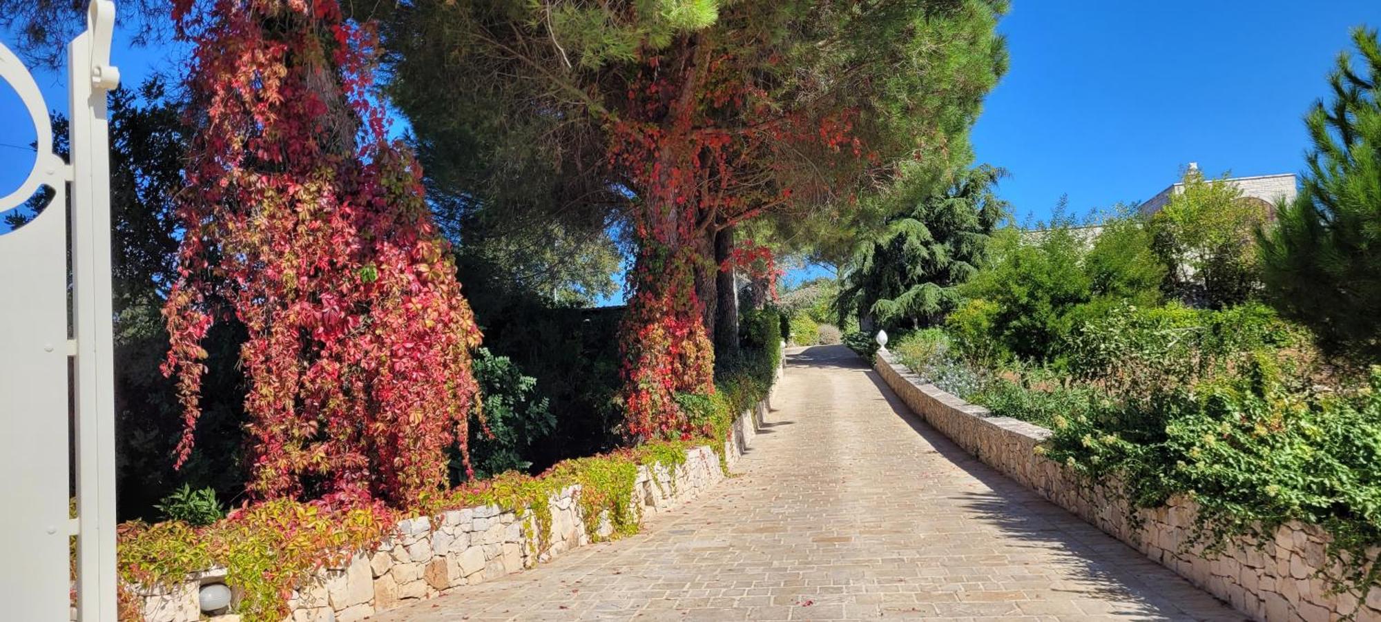 Villa Karmel Valle D'Itria 치스테르니노 외부 사진